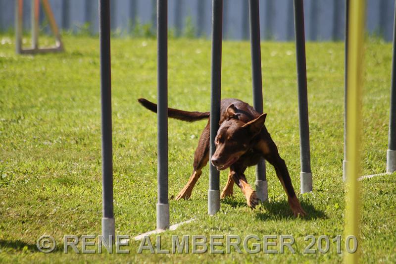 Bild 376.jpg